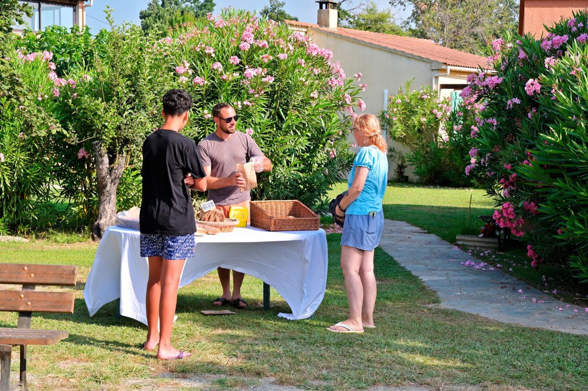 Hotel Pinea Mare Poggio Mezzana Esterno foto