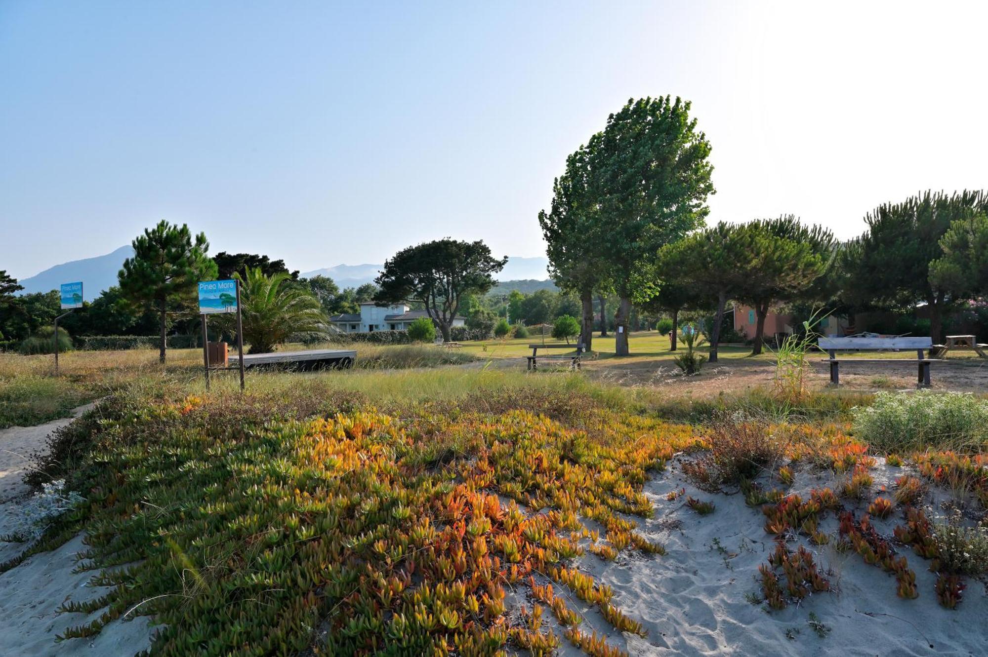 Hotel Pinea Mare Poggio Mezzana Esterno foto