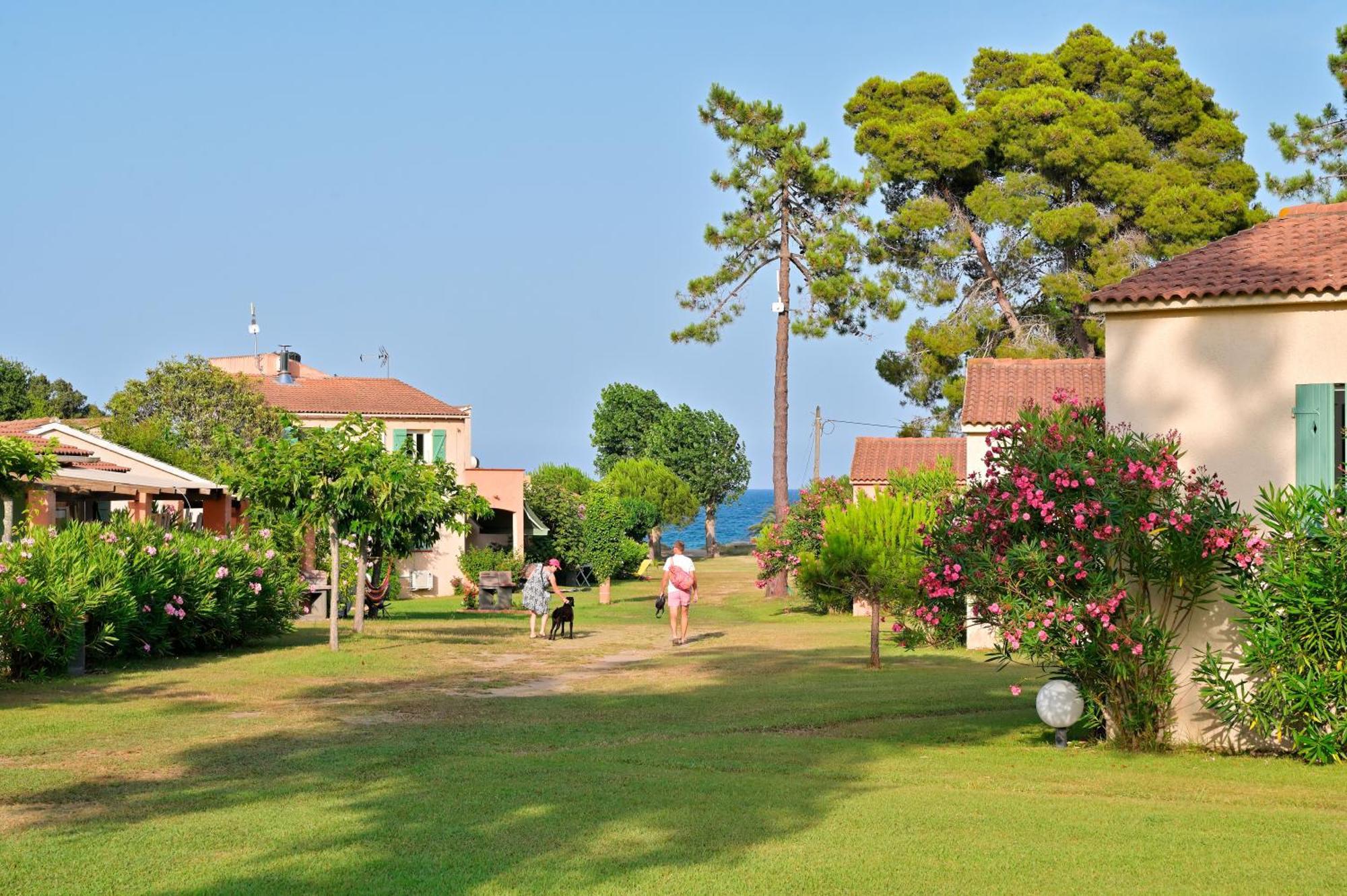 Hotel Pinea Mare Poggio Mezzana Esterno foto